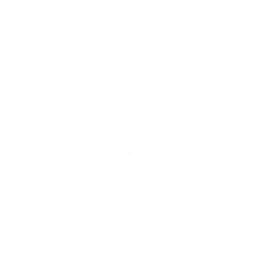VAINK